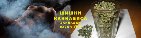 PSILOCYBIN Белокуриха