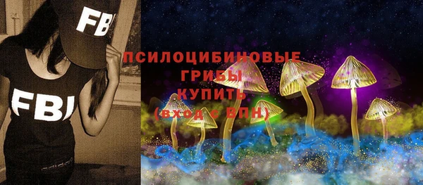 ешки Бугульма