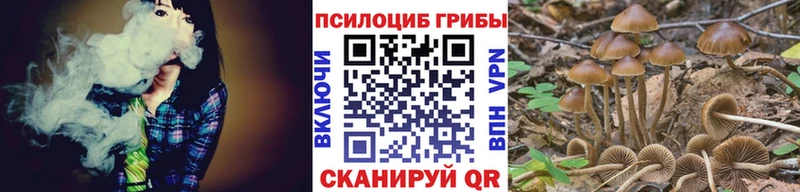 Псилоцибиновые грибы Magic Shrooms  Велиж 